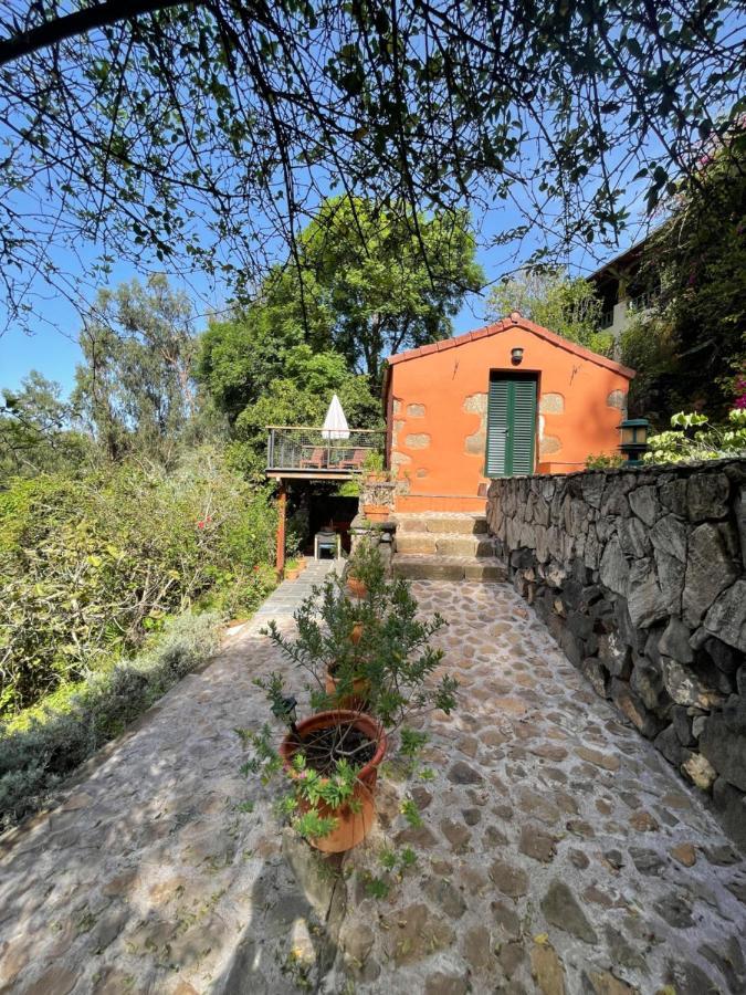 Hébergement de vacances Duplex De Invitados En Medio Del Bosque *