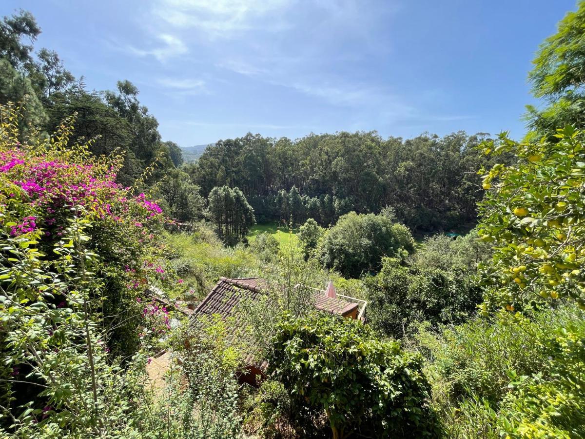 Duplex De Invitados En Medio Del Bosque Hébergement de vacances *
