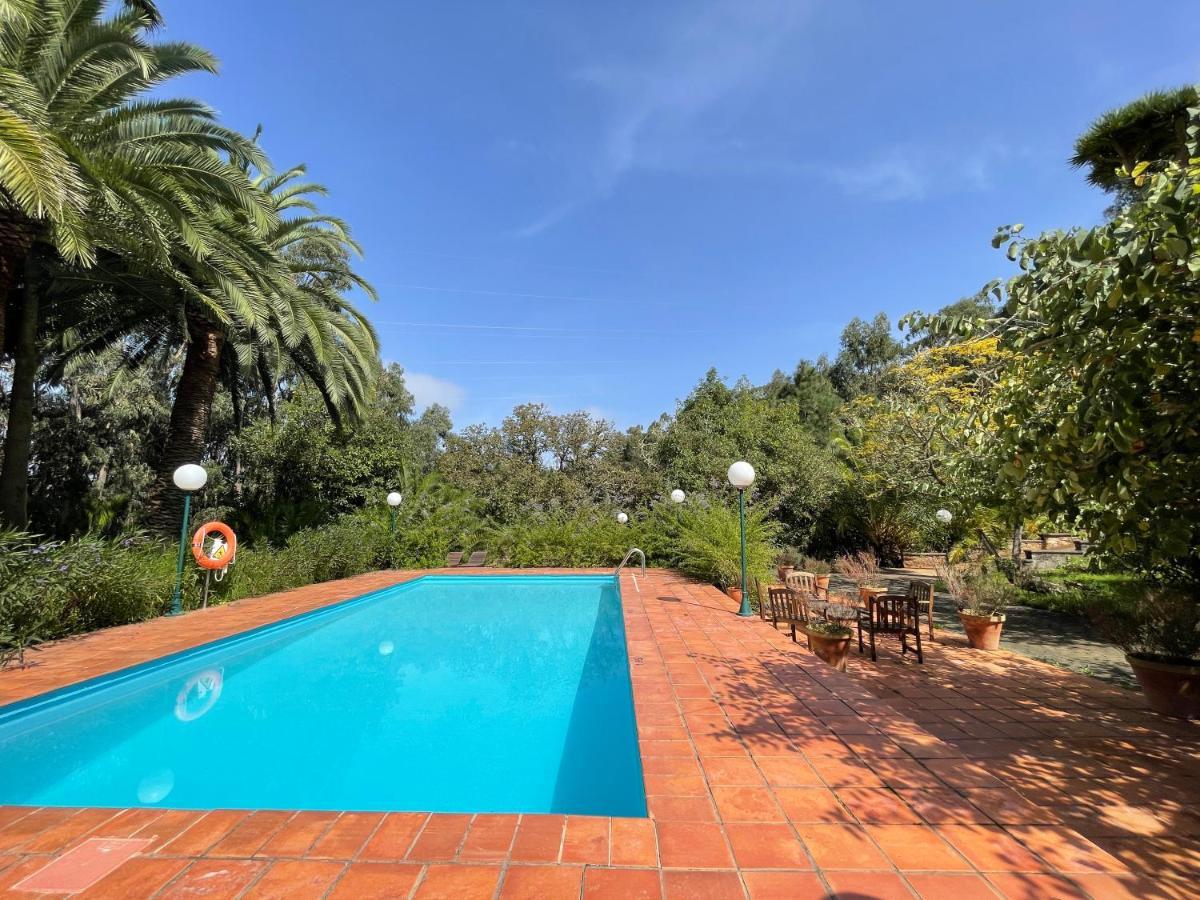 Duplex De Invitados En Medio Del Bosque