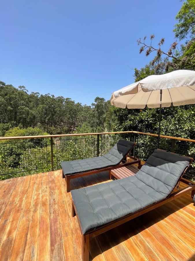 Duplex De Invitados En Medio Del Bosque Firgas