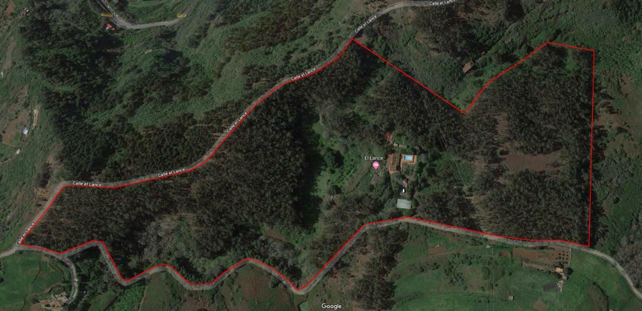 Duplex De Invitados En Medio Del Bosque Hébergement de vacances