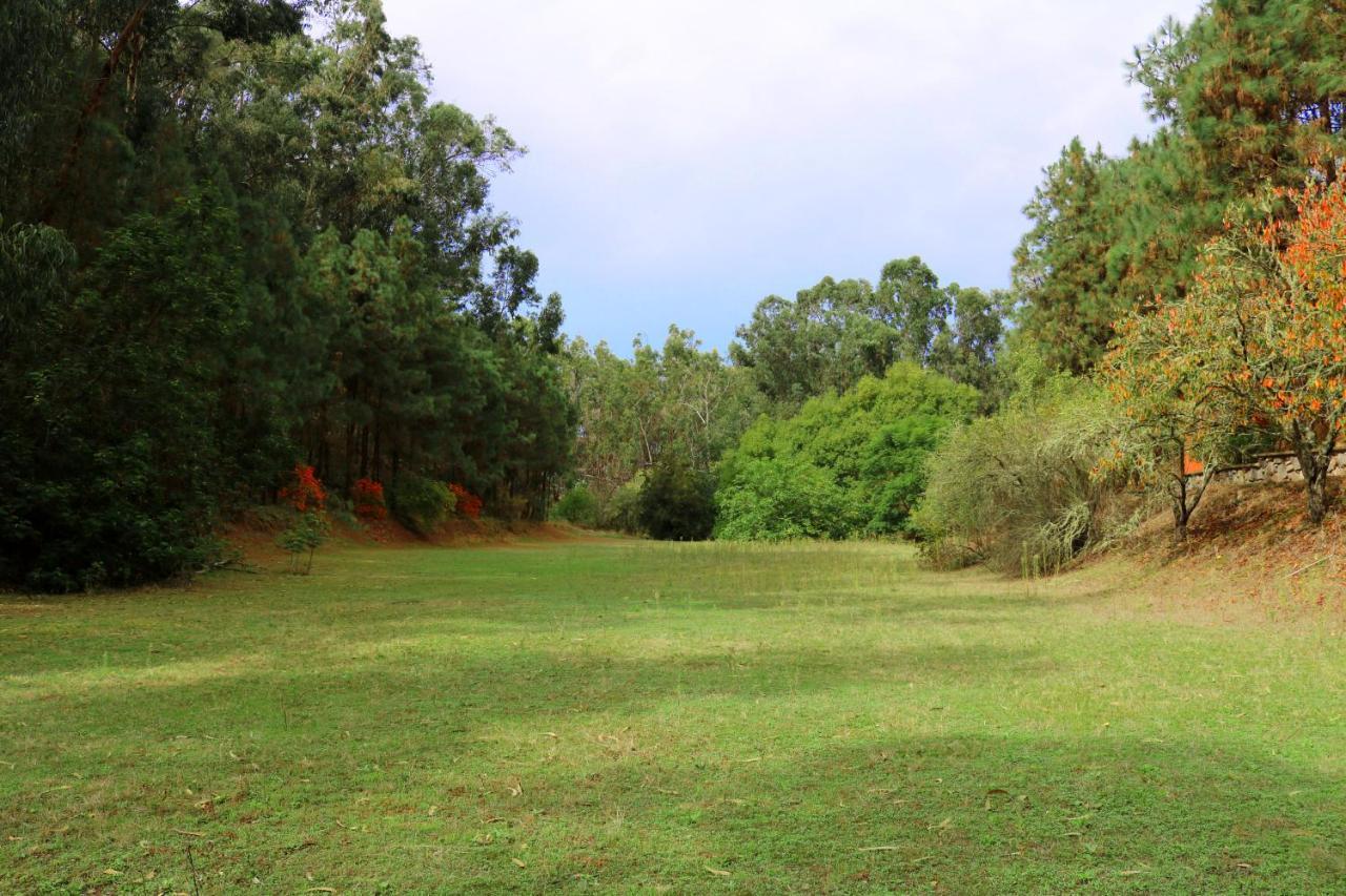 Duplex De Invitados En Medio Del Bosque Holiday home
