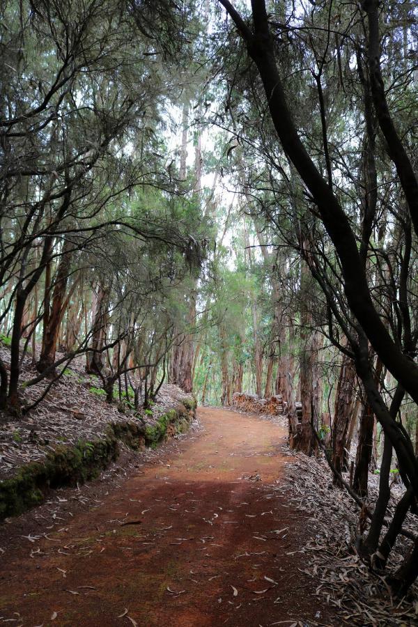 Hébergement de vacances Duplex De Invitados En Medio Del Bosque Firgas